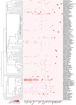 MFPPDB: a comprehensive multi-functional plant peptide database